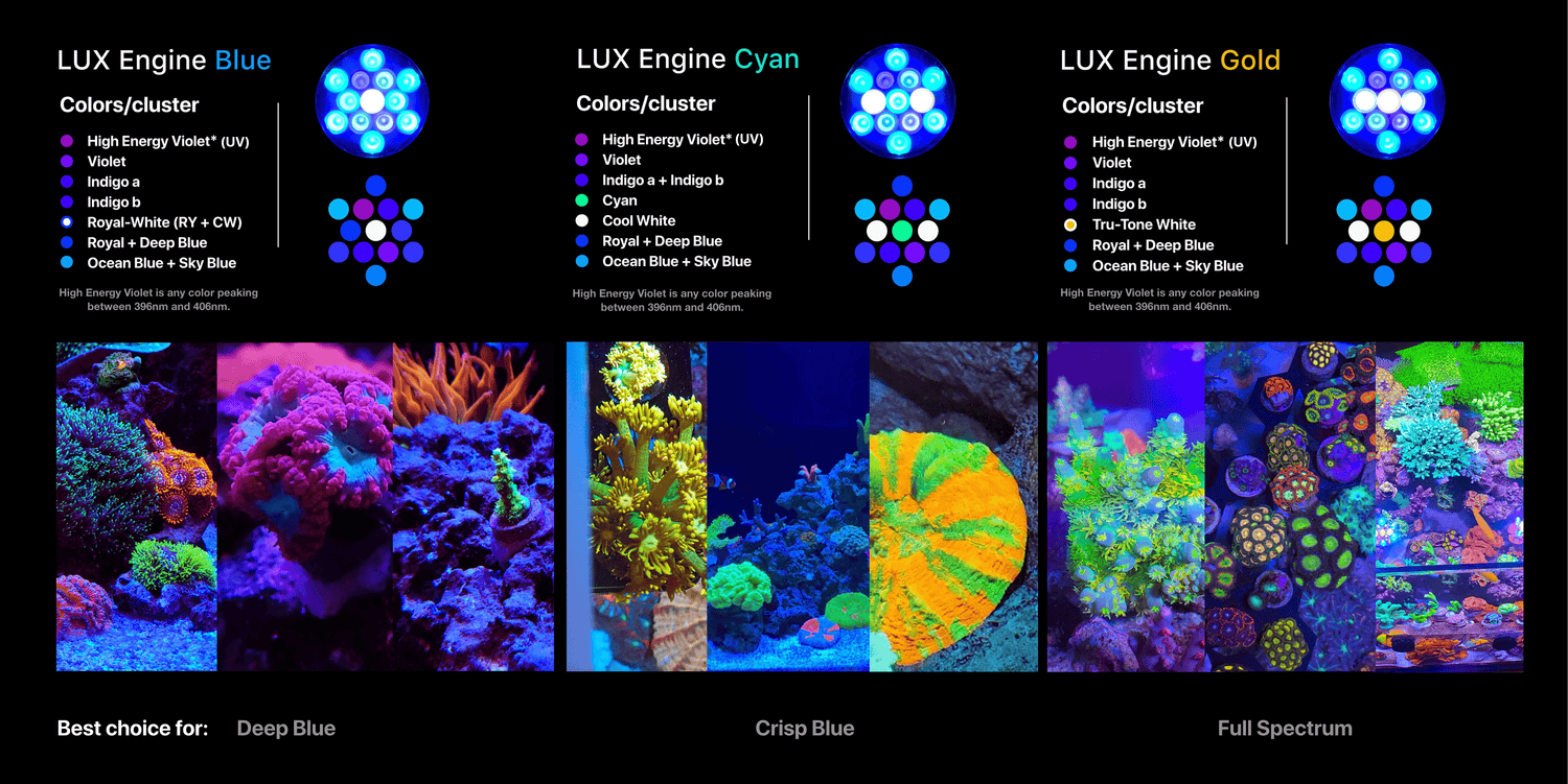 LUX Engine brings a palette of colors to paint your next living masterpiece. 