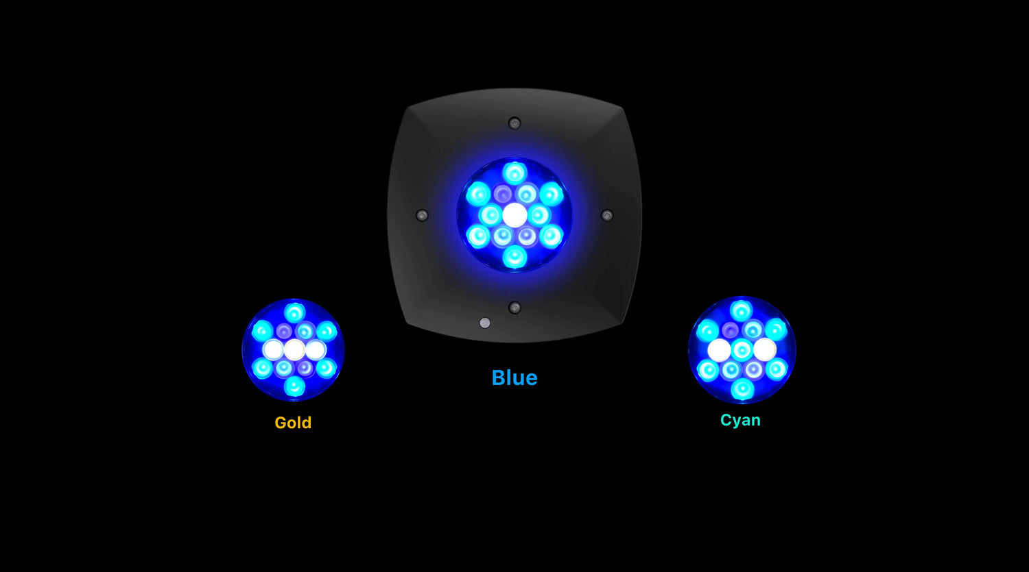 LUX Engine Color Options: Gold, Blue, Cyan