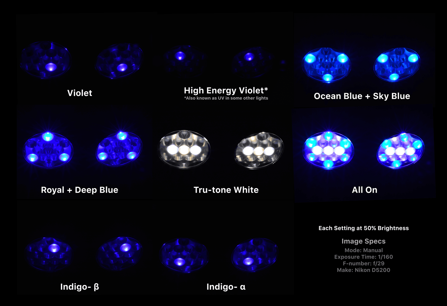 LUX Engine Gold Individual Color Channels